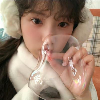 北极故事